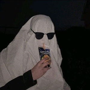 Meet your Posher, Pedro e.